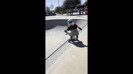 Fearless 4-year-old skater girl shows off her skills at California park