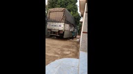 Vietnamese men use their shoulders to move 200-kilogram bags from trucks to warehouses