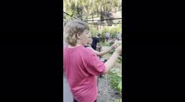 'Mischievous birds scare off kids after being fed by them  
'