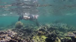 Swimming With the Turtles in Mexico