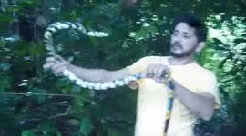 HOMEM PARALIZA COBRA CANINANA COM A LINGUA.