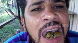 Man puts poisonous frogs in mouth