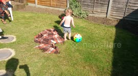 Cute baby is chased by puppy