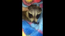 Bedtime for baby Jack