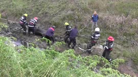 Heartwarming moment rescuers haul horse from mud in Romania