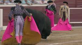 Bull does somersault in San Martín de Valdeiglesias