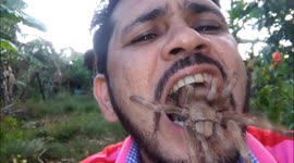 Brazilian man puts tarantula in his mouth
