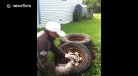 Cute raccoon rescued from tyre