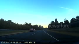 Deer gets struck by car