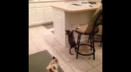 Bill is one weird gal