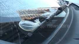 Used condom breaks car windscreen after being dropped from a height
