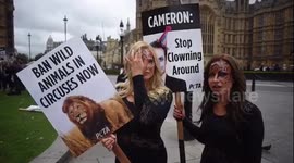 Protest against animals performing in circuses