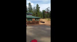 3 year old basketball pro