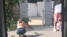 Seagull Rescue, Venice Beach