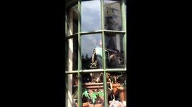 Universal Studios Japan @ Osaka 2015