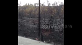 Scorched earth: Aftermath of valley fire in Middletown