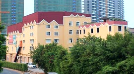 The roof of the neo-treasure hill iron house painting camouflage
