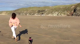 Running on Perranporth beach with my chihuahuas