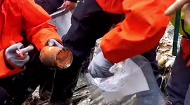 Search teams find damaged black box from China Eastern plane