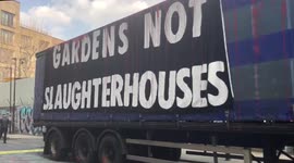 Animal rights activists block truck from leaving London slaugherhouse