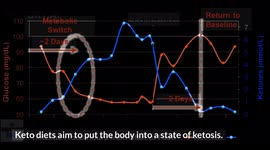 Keto Vegetables - 7 Best Vegetables For Keto |Keto Veggies
