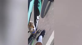 Kind cyclist takes stray kitten home that he found stranded on road