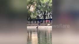 Residents form human chain to rescue girl and elderly man from river in China