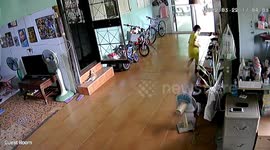 Terrifying moment three aggressive Staffordshire Bull Terriers break into room with toddlers playing
