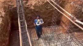 Man casually removes cobra from construction site in southern India
