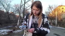 Ukrainian wildlife charity set free 93 bats they stored in refrigerators while fleeing war