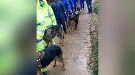 Team of police dogs search for victims of plane crash in China's Guangxi