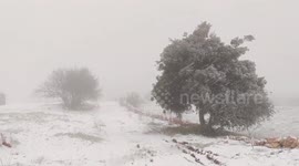 Snow blankets Jordanian city after cold weather strikes