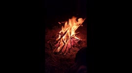 Wildcamp woodland campfire asmr