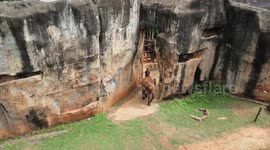 Thailand's only African elephant celebrates ninth birthday party with giant cake