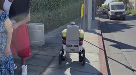 Self-Driving Robotic Autonomous Delivery Vehicle spotted in Los Angles, US