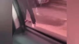 Backseat passenger takes control of taxi wheel, crashes, fights with driver