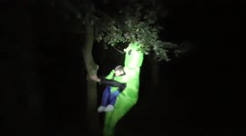 alien spotted in the woods with a human holding onto a tree before disappearing