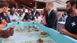 William and Kate visit coral farm in Bahamas amid the Prince's bold stance on Caribbean Commonwealth status