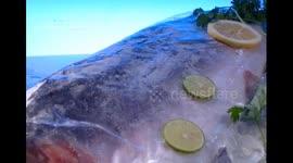 fresh salmon with ice and vegetables ready to cook