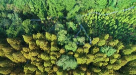 Footage Of Ancient Yellow River Folk Ecological Park In Huaian, Jiangsu, China