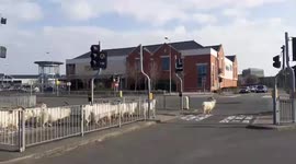 Hilarious moment dozens of goats use TRAFFIC LIGHTS to cross road in Wales