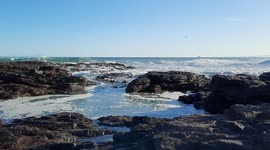 Waves from the Pacific Ocean rolling over rocks near Lawyers Head in Dunedin.