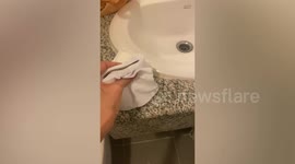 Woman regrets trying to kill cockroach as it quickly jumps towards her