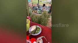 Customer uses chopsticks to catch baby snake hiding in bush at noodle stall