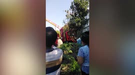 Cat trapped on top of tree rescued using cherry picker