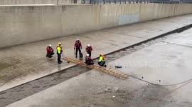 US: LAFD Rescues Dog Trapped In Flooded LA River