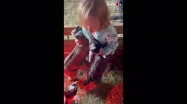 'Sweet little girl spends time with baby goats on her grandma's dairy farm '
