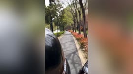 Mother and daughter chase woman for 2 kilometres to retrieve spring onion in China