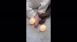 Cutest baby and french bulldog sleeping together in matching bunny clothes