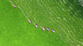 Agricultural Production in Huaian, Jiangsu, China
